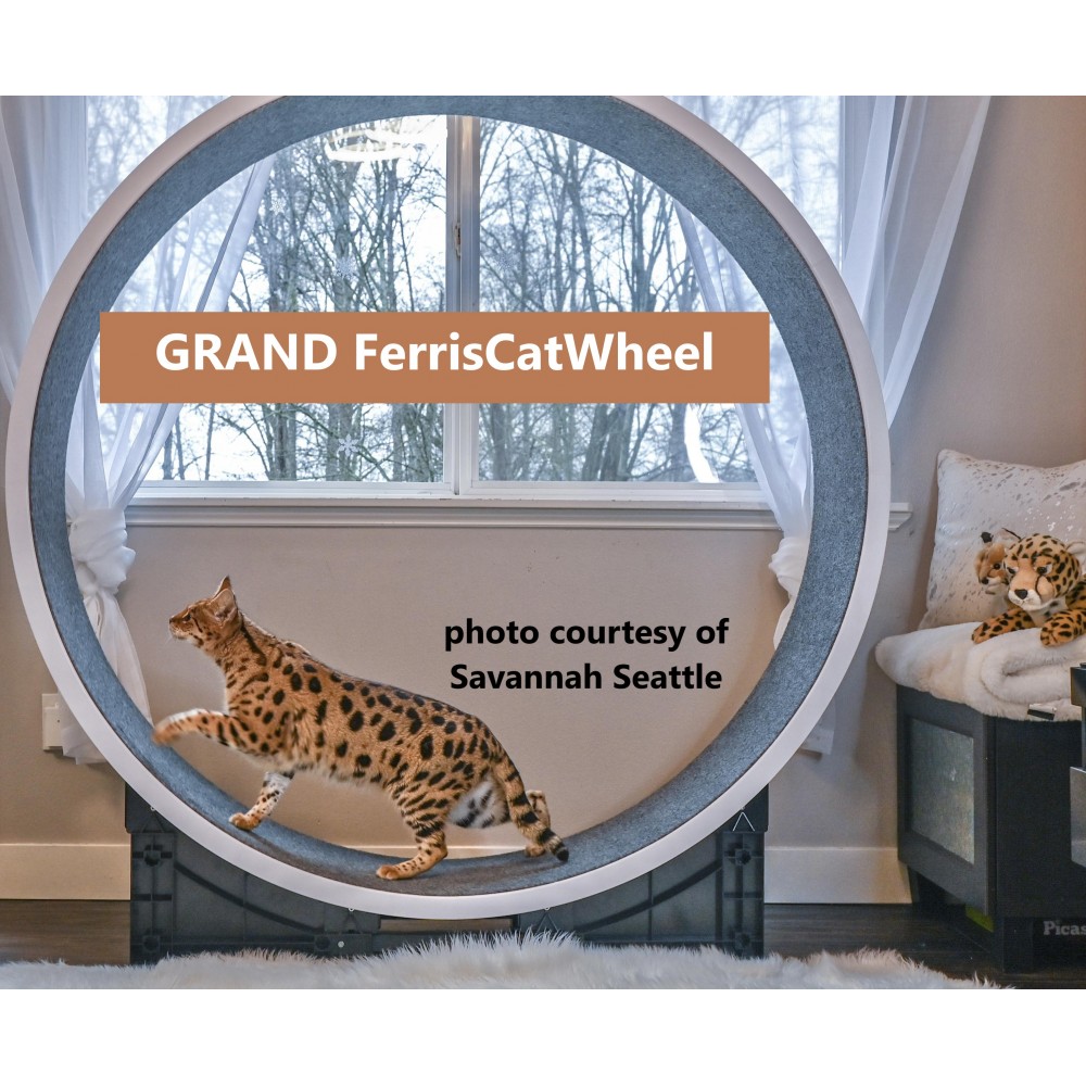 Grand Ferris Cat Exercise Wheel Ziggydoo